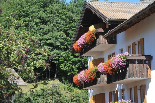 Foto Außenansicht Hotel Langeshof