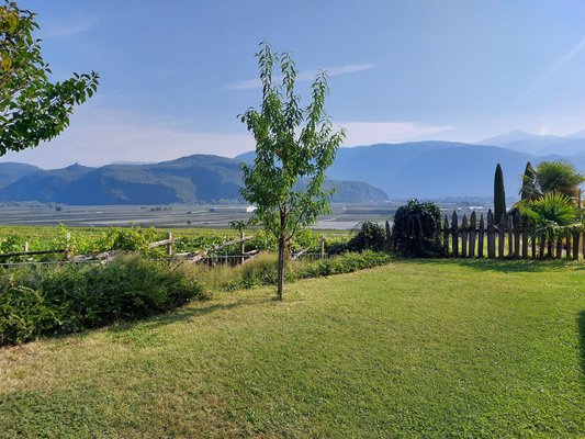 Foto del giardino Termeno (Strada del Vino Sud)