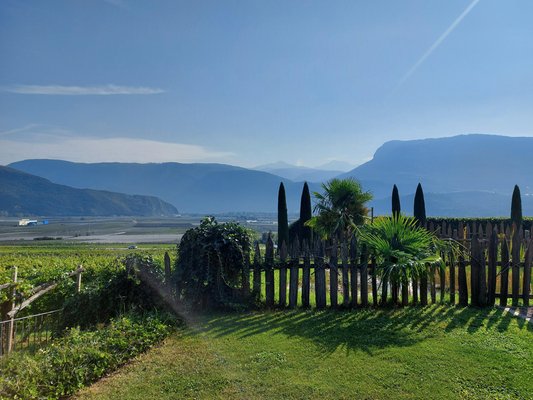 Foto del giardino Termeno (Strada del Vino Sud)
