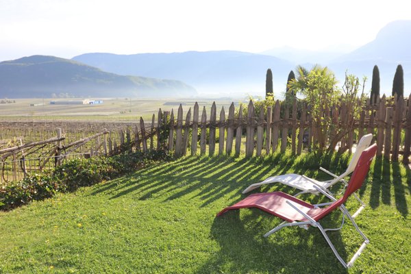 Foto del giardino Termeno (Strada del Vino Sud)