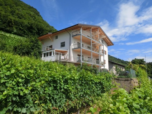 Foto esterno Appartamenti in agriturismo Fritzenhof