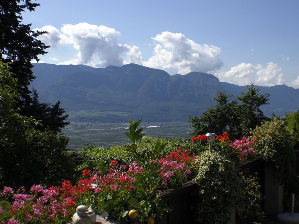 Panorama Termeno (Strada del Vino Sud)
