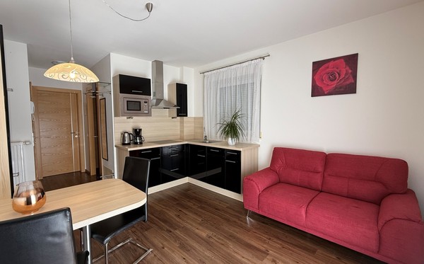 The living area Farmhouse apartments Sonnhof