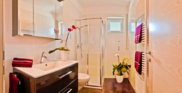 Foto del bagno Appartamenti in agriturismo Sonnhof