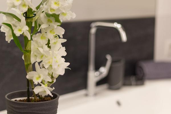 Foto del bagno Appartamenti in agriturismo Sonnhof