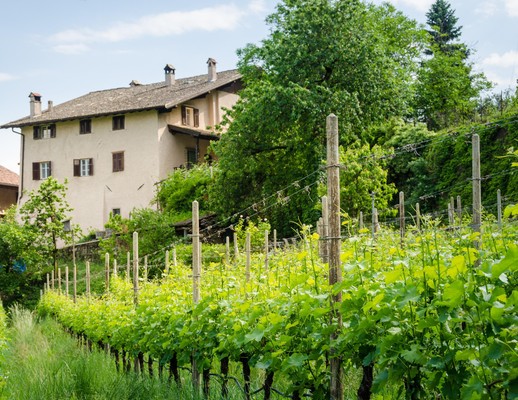 Photo exteriors Farmhouse B&B + Apartments Nussbaumerhof