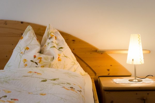 Foto della camera B&B + Appartamenti in agriturismo Nussbaumerhof
