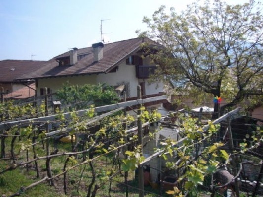 Foto Außenansicht B&B + Ferienwohnungen auf dem Bauernhof Viertelgraunerhof