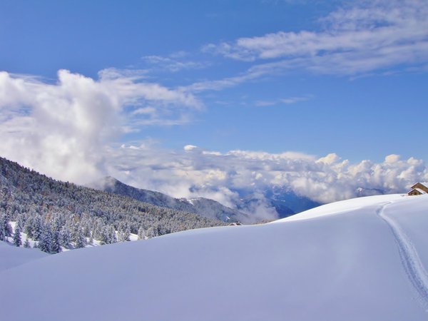 Gallery Bolzano e dintorni inverno