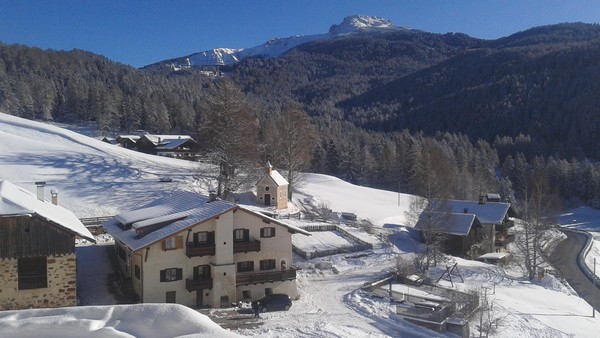 Foto esterno Pensione in agriturismo Thomaserhof