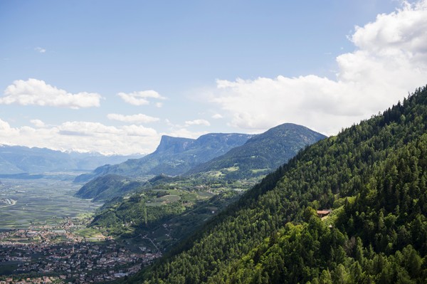 Bildergalerie Meran und Umgebung