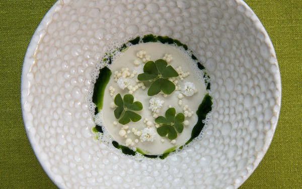 Ricette e proposte gourmet Terra - The Magic Place