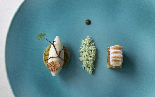 Ricette e proposte gourmet Terra - The Magic Place