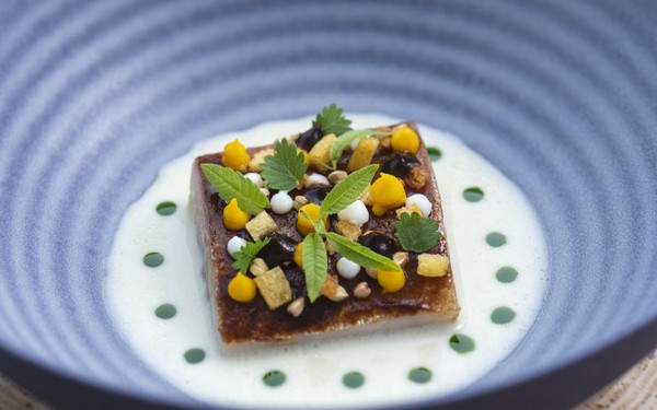 Ricette e proposte gourmet Terra - The Magic Place