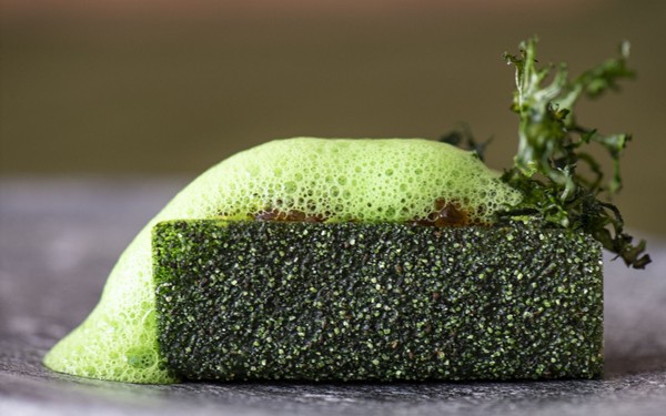 Ricette e proposte gourmet Terra - The Magic Place