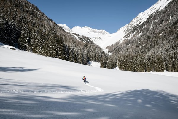 Winter activities Bolzano / Bozen and surroundings