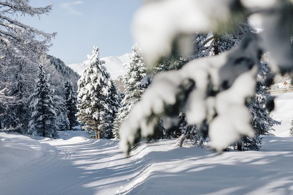 Photo gallery Val Sarentino / Sarntal winter