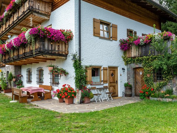 Photo of the garden Val Sarentino / Sarntal