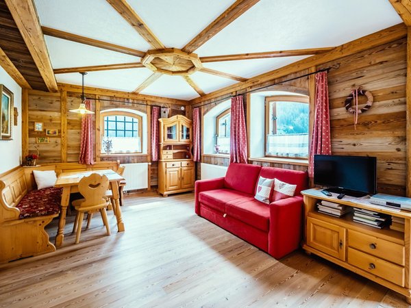 The living area Farmhouse apartments Thomasegg