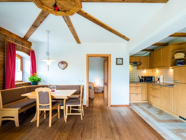 The living area Farmhouse apartments Thomasegg