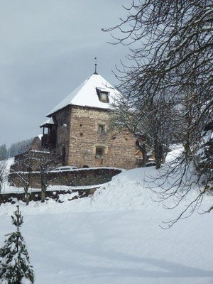 Foto esterno Appartamenti in agriturismo Stofnerhof