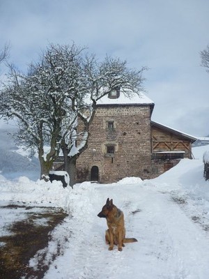 Foto esterno Appartamenti in agriturismo Stofnerhof
