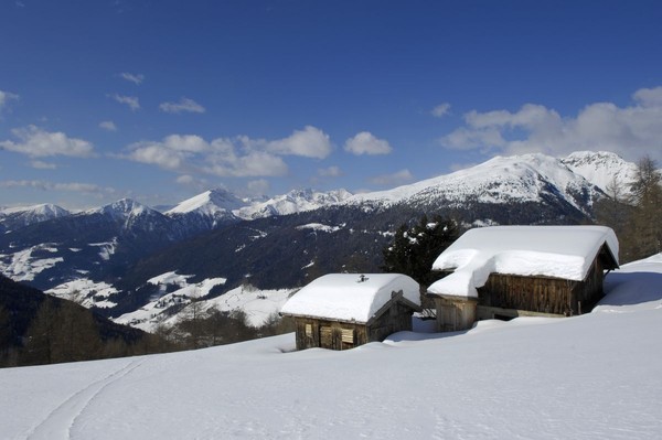 Gallery Bolzano e dintorni inverno