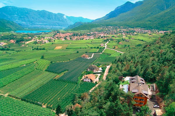 La posizione Hotel + Residence Tannhof Pianizza di Sopra (Strada del Vino Nord)