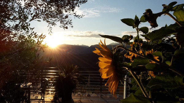 Foto della terrazza