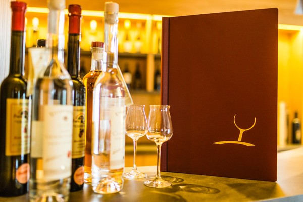 Foto von der Bar Hotel Hasslhof
