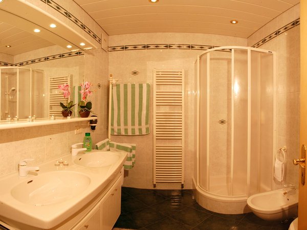 Foto del bagno Appartamenti in agriturismo Siganatenhof