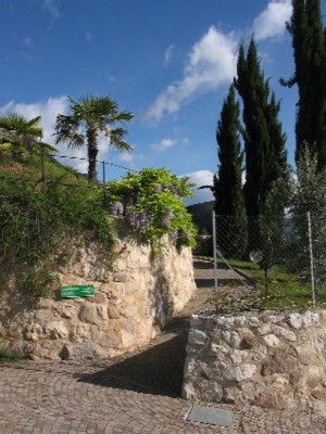 Foto del giardino S. Antonio - Pozzo (Strada del Vino Nord)