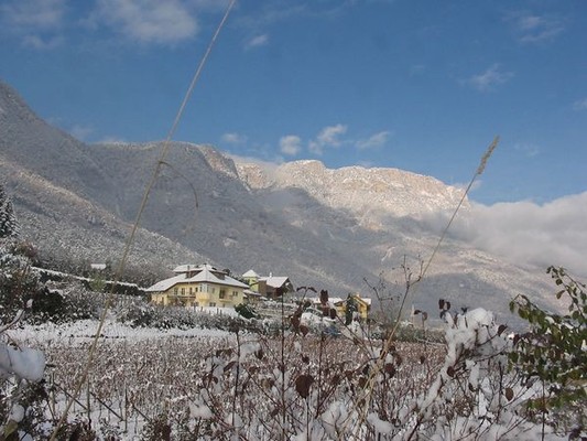 La posizione Appartamenti in agriturismo Lieselehof S. Antonio - Pozzo (Strada del Vino Nord)