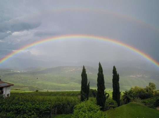 Panorama S. Antonio - Pozzo (Strada del Vino Nord)