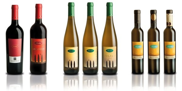 Appartamenti in agriturismo Lieselehof Strada del Vino Nord