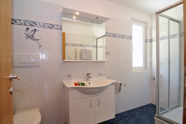Foto del bagno Appartamenti in agriturismo Haus Hansjoggl