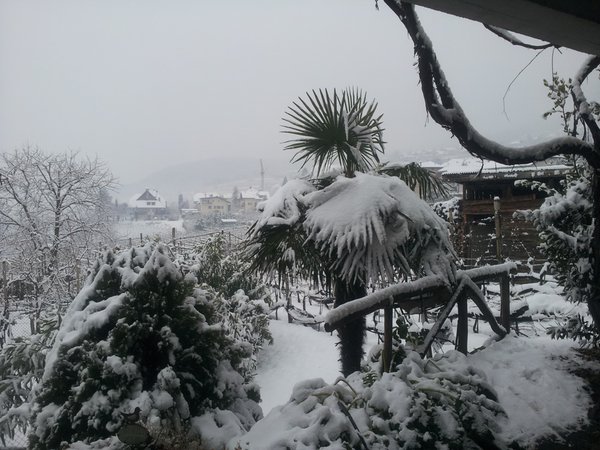 Foto del giardino Caldaro Paese (Strada del Vino Nord)