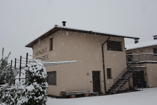 Foto esterno Appartamenti in agriturismo Weingut Morandell