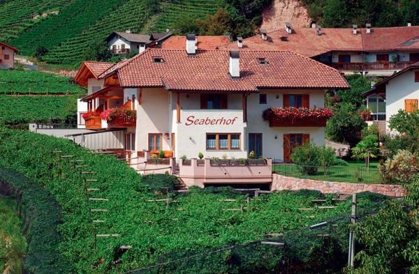 Foto esterno B&B + Appartamenti in agriturismo Seaberhof