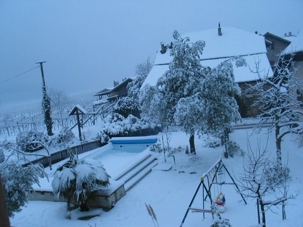 Photo gallery winter