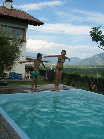 Schwimmbad Ferienwohnungen auf dem Bauernhof Heideggerhof