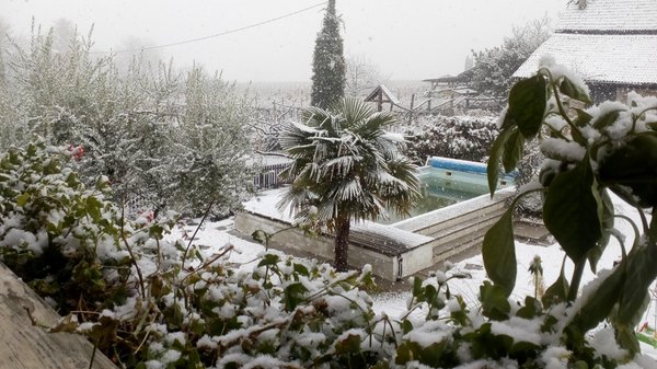 Photo gallery winter