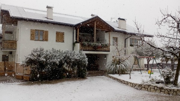 Foto esterno Appartamenti in agriturismo Heideggerhof