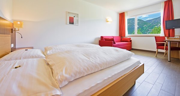 Photo of the room Gasthof (Small hotel) Terzer