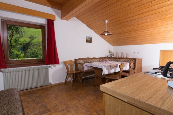 The living area Farmhouse apartments Tschuffenerlhof