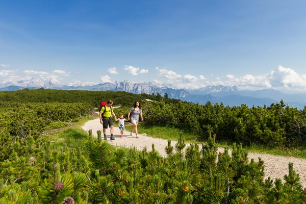 Typische Darstellung von Ritten (Bozen und Umgebung)