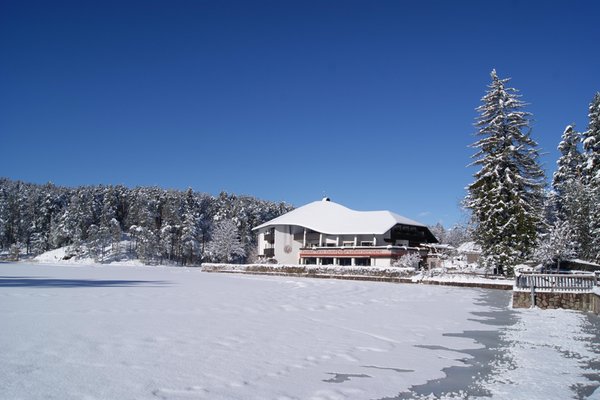 Winter Präsentationsbild Am Wolfsgrubenersee - Hotel 3 Stern sup.