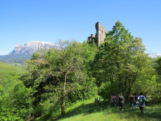 Attività estate Bolzano e dintorni