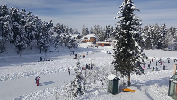 Attività invernali Bolzano e dintorni