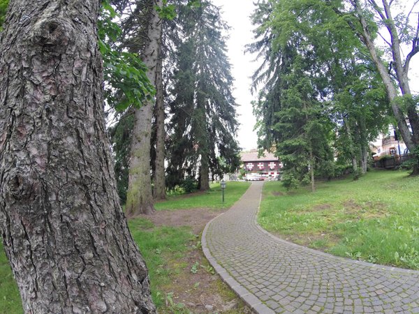Foto del giardino Soprabolzano (Renon)